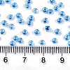 8/0 Glass Seed Beads SEED-A015-3mm-2216-4