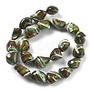 Dyed Natural Trochus Shell Beads Strands BSHE-Z006-02D-2