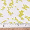 MIYUKI Delica Beads SEED-X0054-DB0743-4