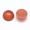 Natural Carnelian Cabochons G-P393-R18-10mm-2