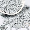Opaque Colours Luster Glass Seed Beads SEED-B001-01A-09-1