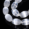 Dyed Natural Selenite Beads Strands G-T138-233A-3