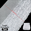 Polyester Lace Ribbon OCOR-WH0105-198-5