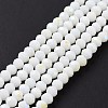Electroplate Opaque Solid Color Glass Beads Strands EGLA-A034-P6mm-L17-2