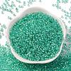 Glass Cylinder Beads SEED-L011-11B-17-2