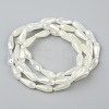 Electroplated Opaque Glass Beads Strands EGLA-L015-FR-B17-01-3
