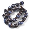 Dyed Natural Trochus Shell Beads Strands BSHE-Z006-02B-2