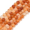 Natural Red Agate Beads Strands G-A248-A06-02-2