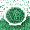 FGB Frosted Transparent Glass Seed Beads SEED-N013-04A-09-2