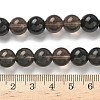 Natural Ice Obsidian Beads Strands G-P590-A03-10mm-02-3