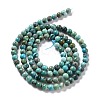 Natural HuBei Turquoise Beads Strands G-K312-26D-01-2