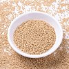 MIYUKI Delica Beads Small SEED-X0054-DBS0389-2