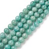 Natural Amazonite Beads Strands G-F461-12-8mm-01-1