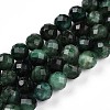 Natural Fuchsite Beads Strands G-S345-8mm-33-1