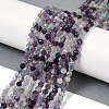 Natural Fluorite Beads Strands G-A252-A01-01-2