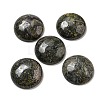 Natural Dragon Blood Cabochons G-C115-02B-11-1