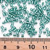 Glass Bugle Beads SEED-S032-08A-51A-4