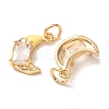 Brass Pave Clear Cubic Zirconia with Enamel Charms CU-K002-47G-M-3