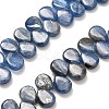 Natural Kyanite Beads Strands G-H335-E01-7x10mm-1