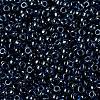 MIYUKI Round Rocailles Beads X-SEED-G008-RR0358-3