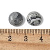 Natural Map Stone Cabochons G-Z075-06A-3