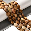 Natural Picture Jasper Beads Strands G-I377-A17-1