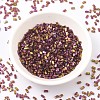 MIYUKI Half TILA Beads SEED-JP0008-HTL301-2