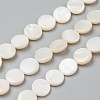 Natural Freshwater Shell Beads X-BSHE-I011-01D-02-1