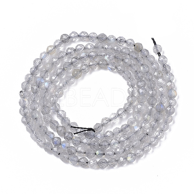 Natural Labradorite Beads Strands G-S361-2mm-010-1