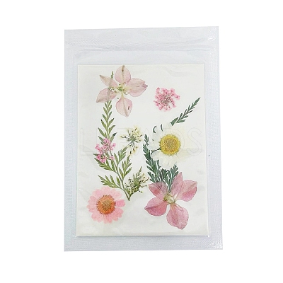 Pressed Dried Flowers DIY-B070-01C-1