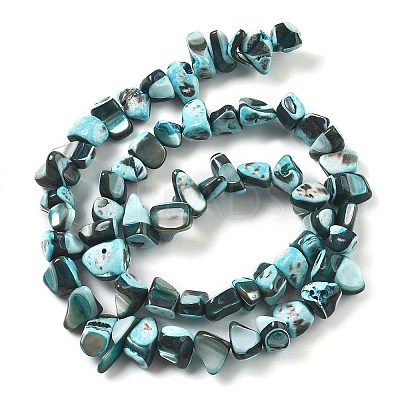 Dyed Natural Trochus Shell Beads Strands BSHE-Z006-01E-1