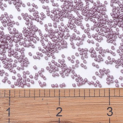 MIYUKI Delica Beads SEED-X0054-DB0800-1