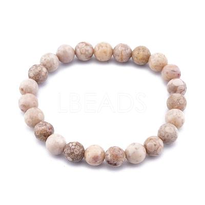 Natural Maifanite/Maifan Stone Bead Stretch Bracelets BJEW-K212-C-044-1
