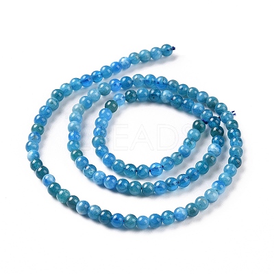 Natural Apatite Beads Strands G-D856-01-4mm-A-1
