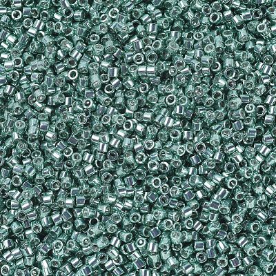 MIYUKI Delica Beads SEED-X0054-DB0416-1