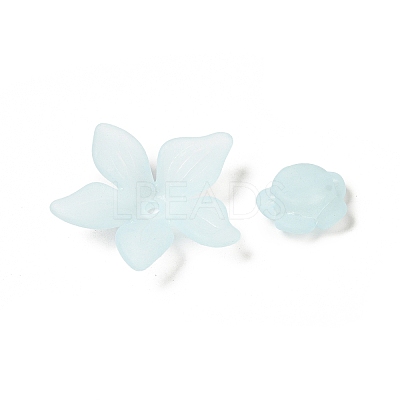 Frosted Transparent Acrylic Beads OACR-U006-03F-1