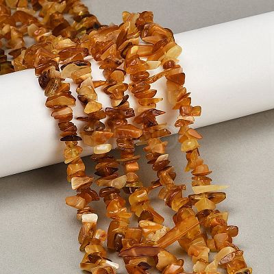 Natural Amber Chip Beads Strands X-G-E271-81-01-1
