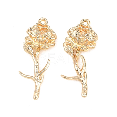 Brass Pendants KK-A288-01G-09-1