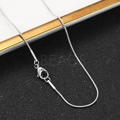 Tarnish Resistant 304 Stainless Steel Snake Chain Necklaces NJEW-F196-14P-1