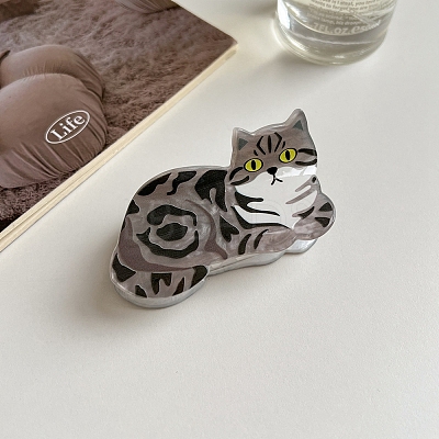 Acrylic Claw Hair Clips PW-WG49337-06-1
