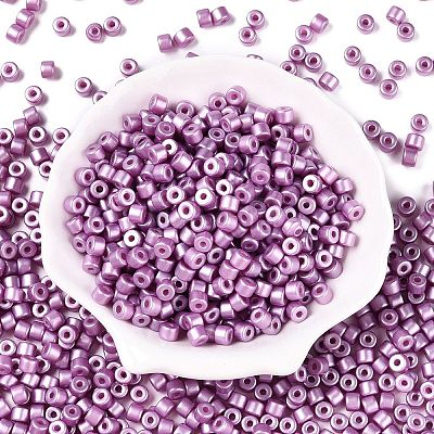 Baking Paint Pearlized Glass Seed Beads SEED-T008-03L-1