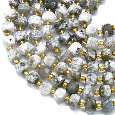 Natural Labradorite Beads Strands G-K389-E41-01-1