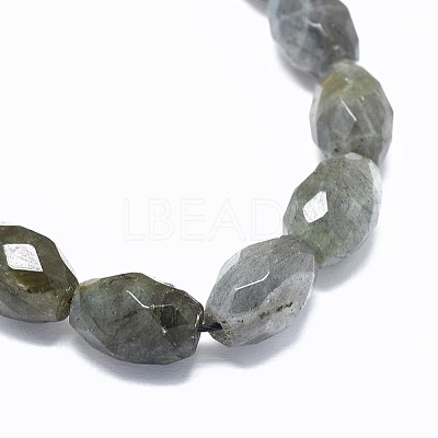 Natural Labradorite Beads Strands G-F632-16A-1