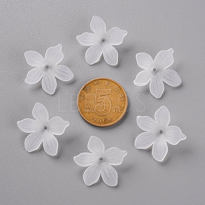 Frosted Acrylic Bead Caps LS-X-MACR-S371-05A-701-1