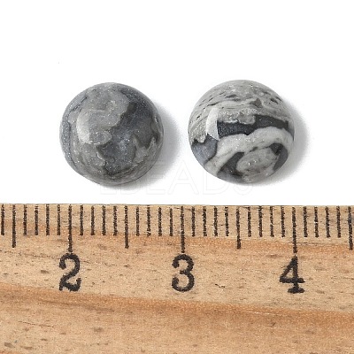 Natural Map Stone Cabochons G-Z075-06A-1