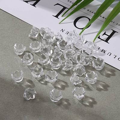 Transparent Acrylic Beads LS-X-PL548-1-1