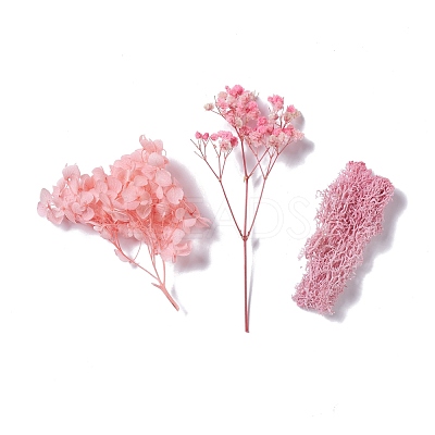 Dried Flowers DIY-D052-05-1