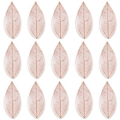100Pcs Dried Flower Leaf Craft Supplies AJEW-CP0009-41C-1
