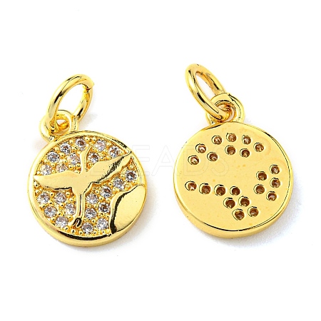 Rack Plating Brass Micro Pave Cubic Zirconia Charms KK-D036-04G-1