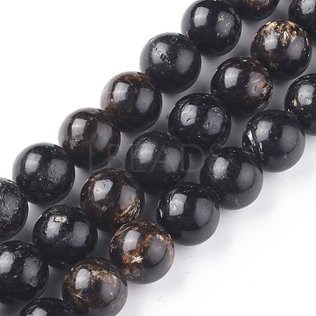 Natural Biotite Beads Strands G-L528-06A-1